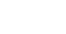 Logo Soluzione Tasse bianco verticale